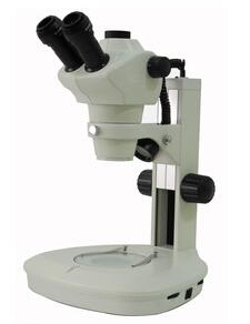 體視顯微鏡，偏光顯微鏡